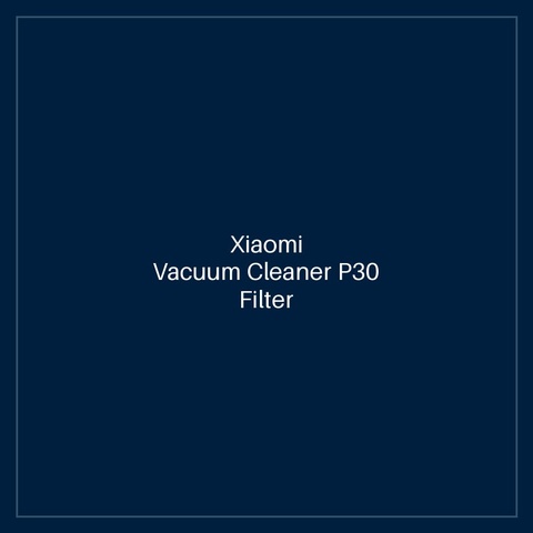 Xiaomi Vacuum Cleaner P30 Filter