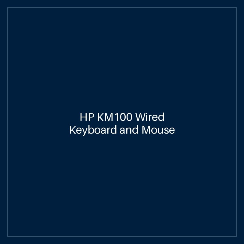 HP KM100 Wired Keyboard and Mouse Combo