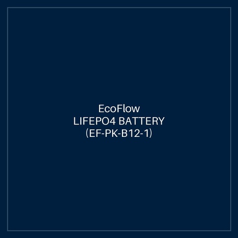 ECOFLOW LIFEPO4 BATTERY (EF-PK-B12-1)