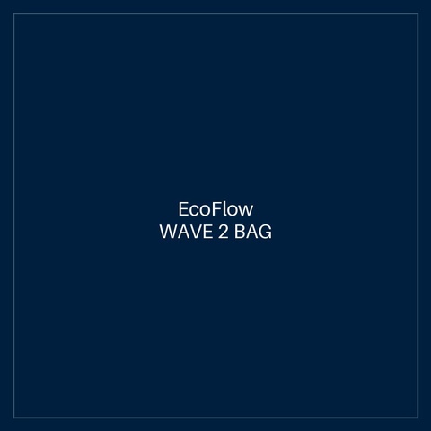 ECOFLOW WAVE 2 BAG