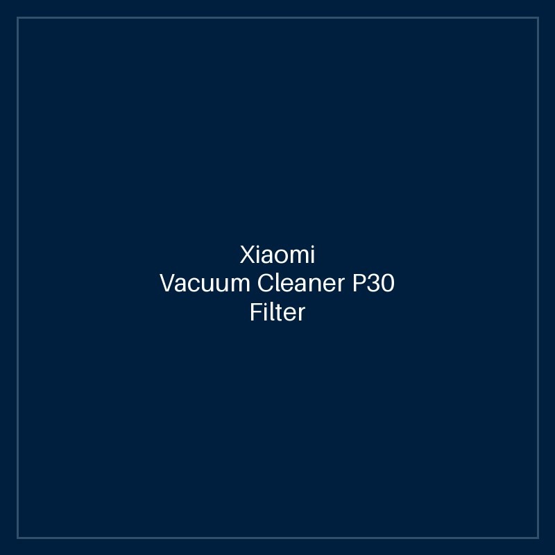 Xiaomi Vacuum Cleaner P30 Filter