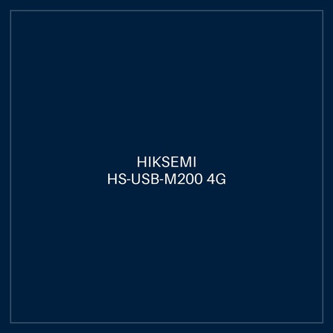 HIKSEMI HS-USB-M200 4G