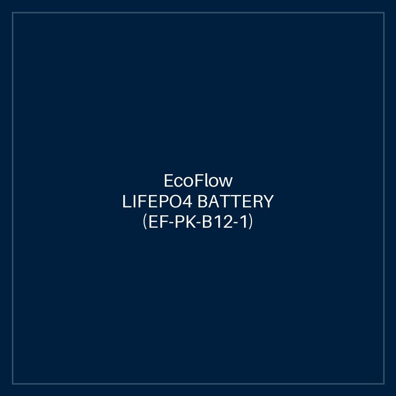 ECOFLOW LIFEPO4 BATTERY (EF-PK-B12-1)