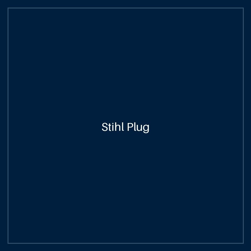 Stihl Plug
