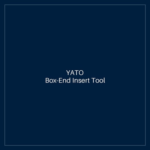 Box-End Insert Tool 41 mm