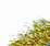 Circular brush – crimped wire
