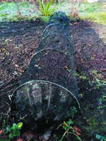 Black net tunnel